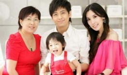 陈若仪综艺节目爆料视频,背后的故事与情感纠葛